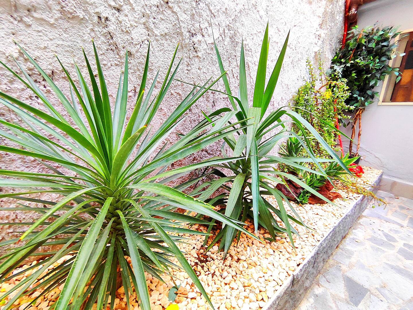 Casa in bianco e nero